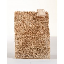 Spugna rettangolare luffa