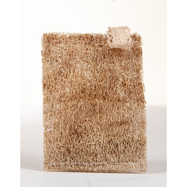 Spugna naturale di luffa 10×15 cm | Ecologica, esfoliante, biodegradabile