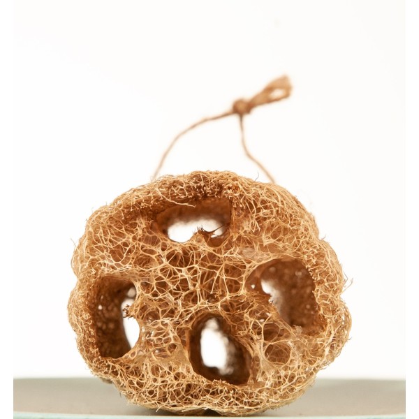 Trancio di luffa naturale 14 cm | Ecologico, esfoliante, biodegradabile