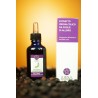 Estratto Idroalcolico di Alloro – Digestione e Benessere Naturale