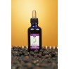 Estratto Idroalcolico di Alloro – Digestione e Benessere Naturale