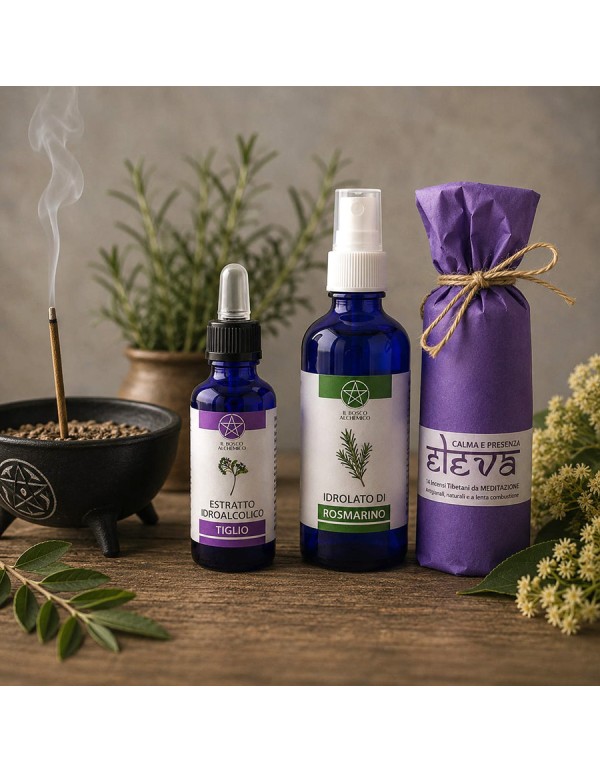 ELEVA — Quando la meditazione prende forma