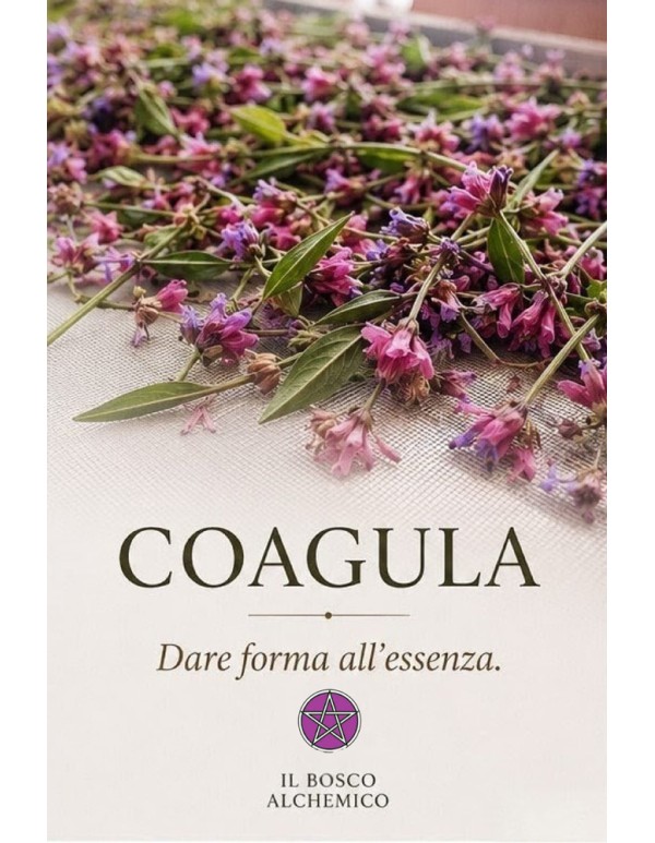 COAGULA — Dare forma a ciò che siamo diventati