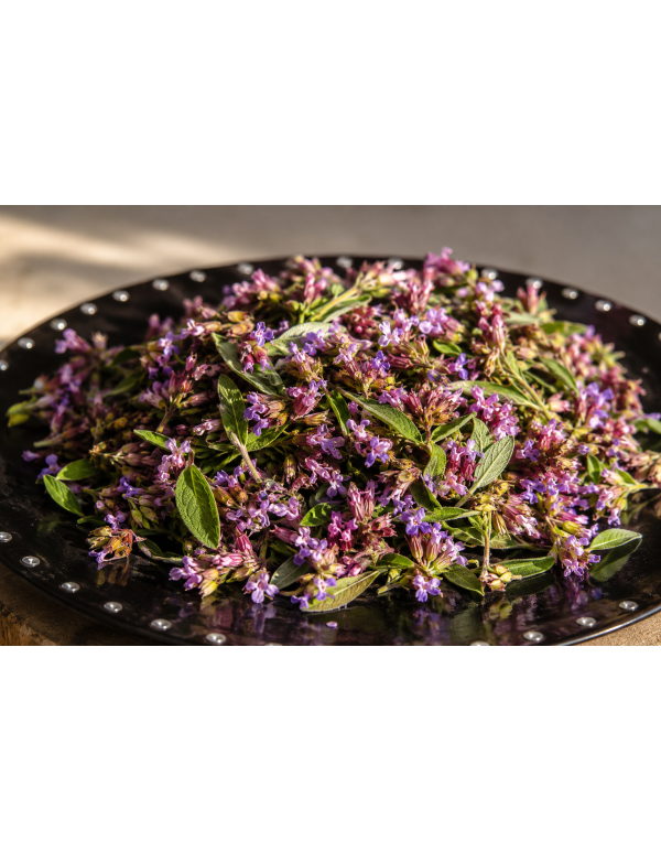 SALVIA — La pianta che riporta al centro 
