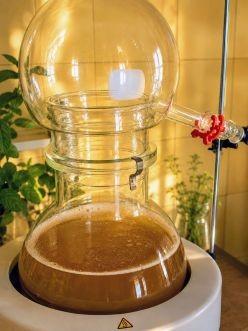 La distillazione spagirica: quando la materia cambia stato