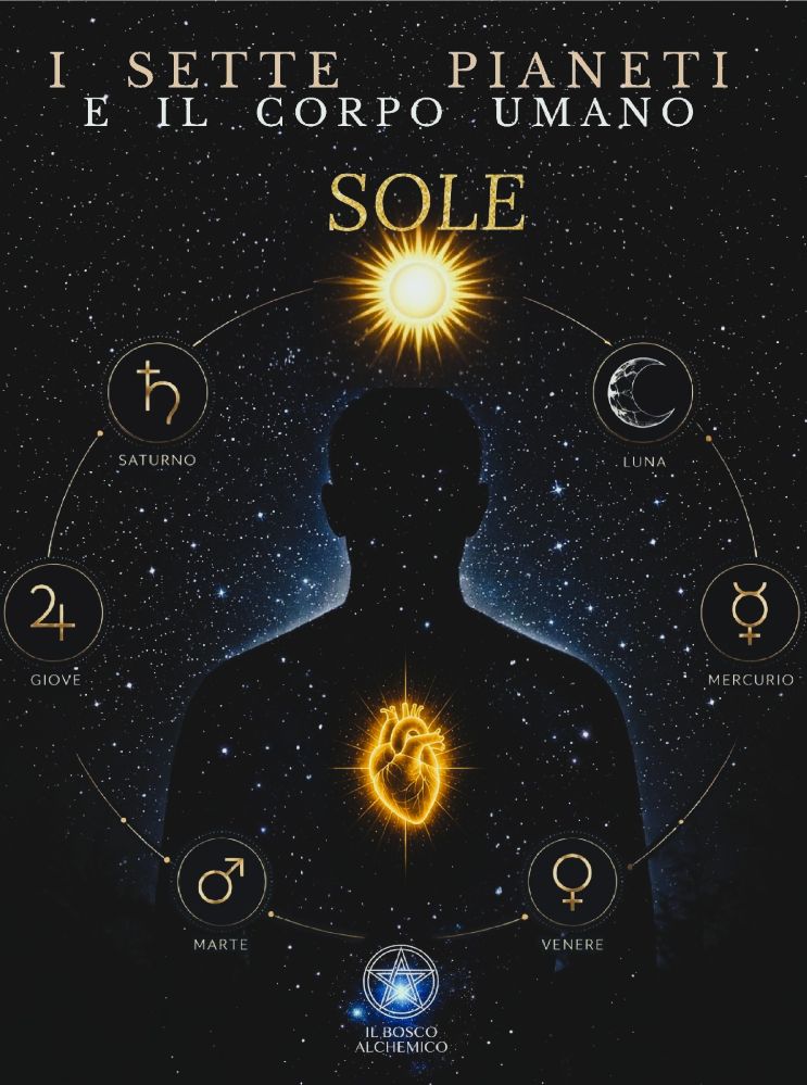 Il Sole: il cuore del microcosmo